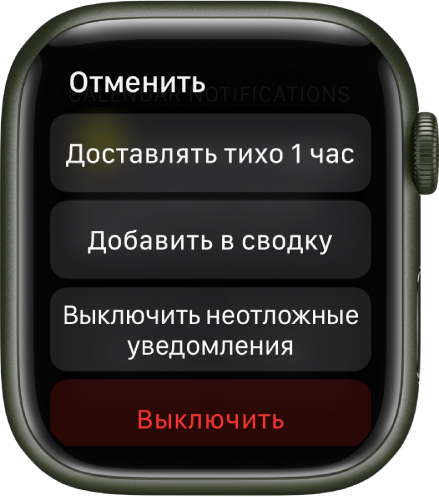 Как настроить уведомления на apple watch. Смотреть фото Как настроить уведомления на apple watch. Смотреть картинку Как настроить уведомления на apple watch. Картинка про Как настроить уведомления на apple watch. Фото Как настроить уведомления на apple watch