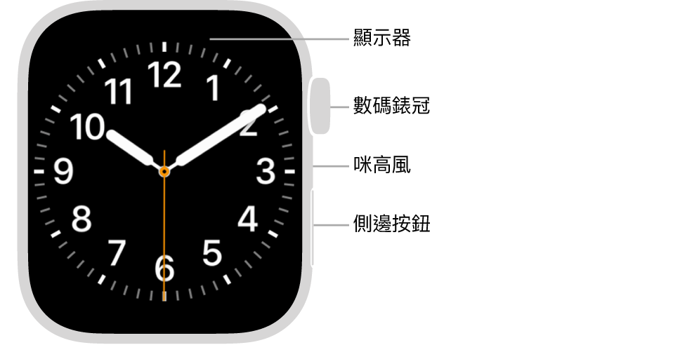 你的apple Watch Apple 支援 香港