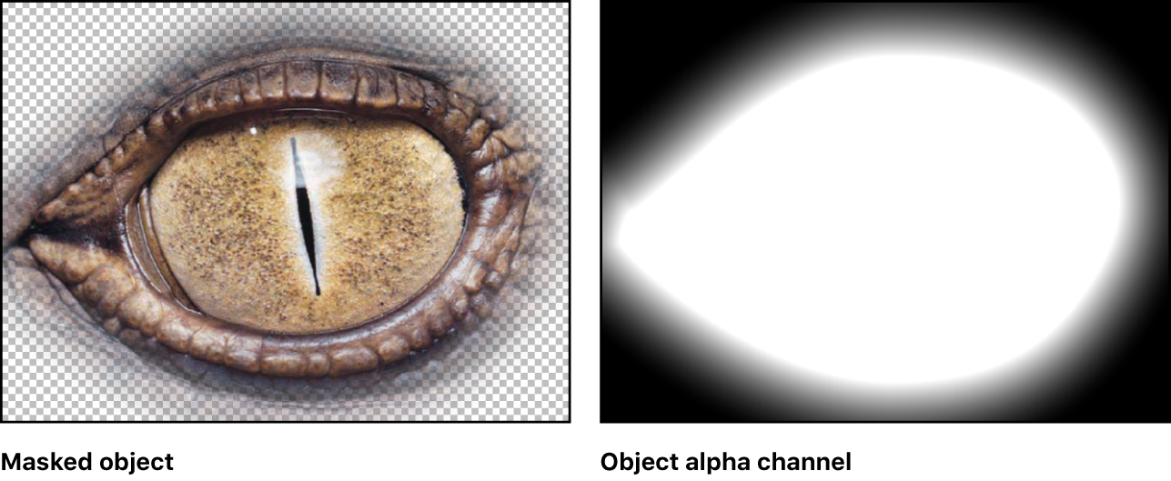 Canvas mit einem maskierten Objekt und dem zugehörigen Alpha-Kanal