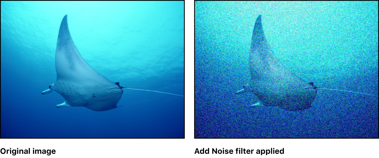 Canvas showing effect of Add Noise filter