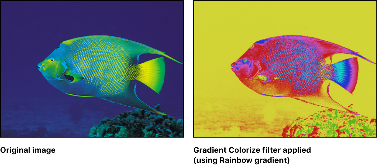 Canvas showing effect of Gradient Colorize filter