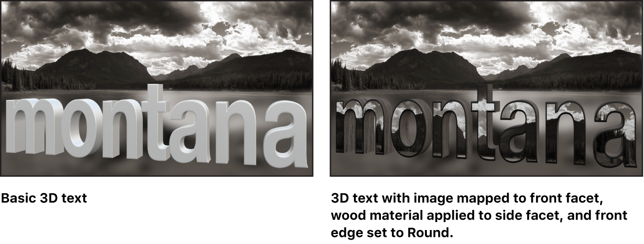 Canvas showing basic 3D text and 3D text with custom image mapped to front facet, wood applied to side facet, and front edge set to Round