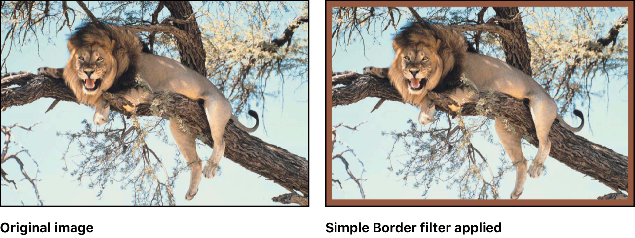 Canvas showing effect of Simple Border filter