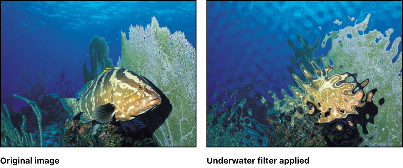 Canvas showing effect of Underwater filter