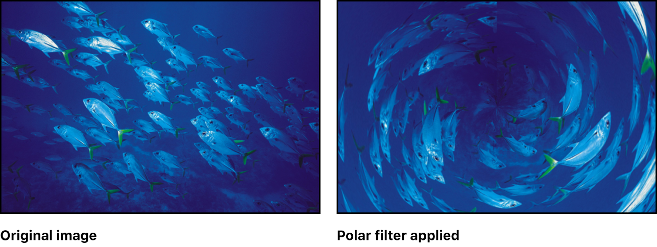 Canvas showing effect of Polar filter