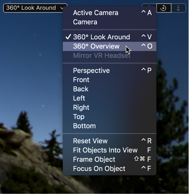 Selecting 360° Overview from the Camera pop-up menu in the canvas