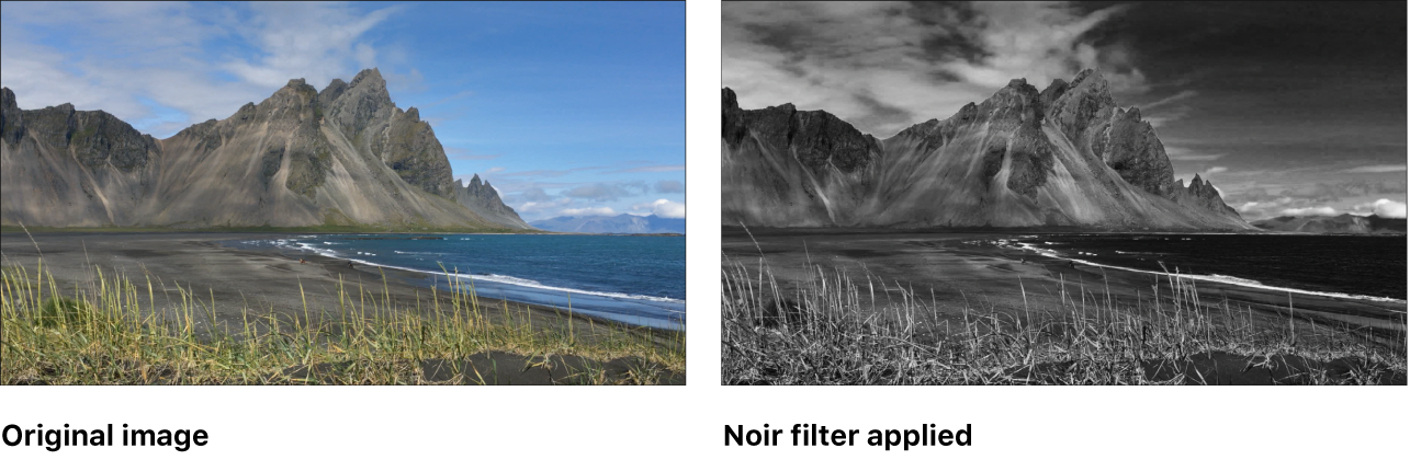 Canvas showing effect of Noir filter