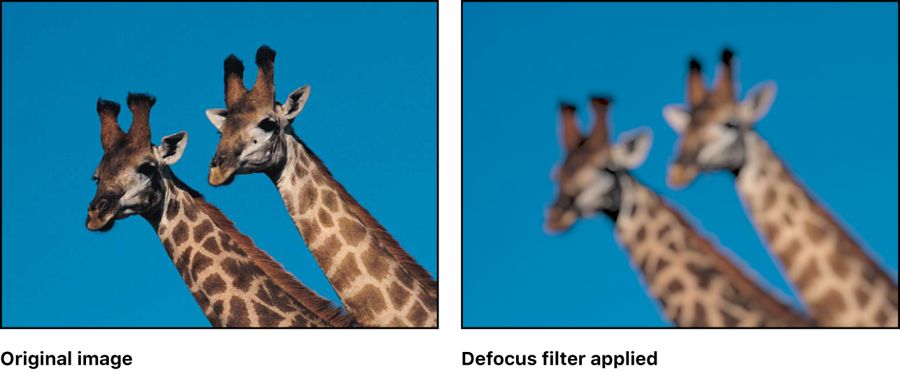 Canvas showing effect of Defocus filter