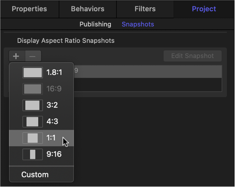Snapshots pane in Project Inspector showing new display aspect ratio options