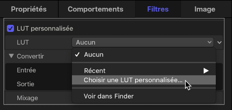 Inspecteur de filtres affichant l’option « Choisir une LUT personnalisée » dans le menu local LUT