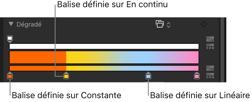 Éditeur de dégradé affichant les balises de couleur, distribuées d’après la méthode d’interpolation Constante