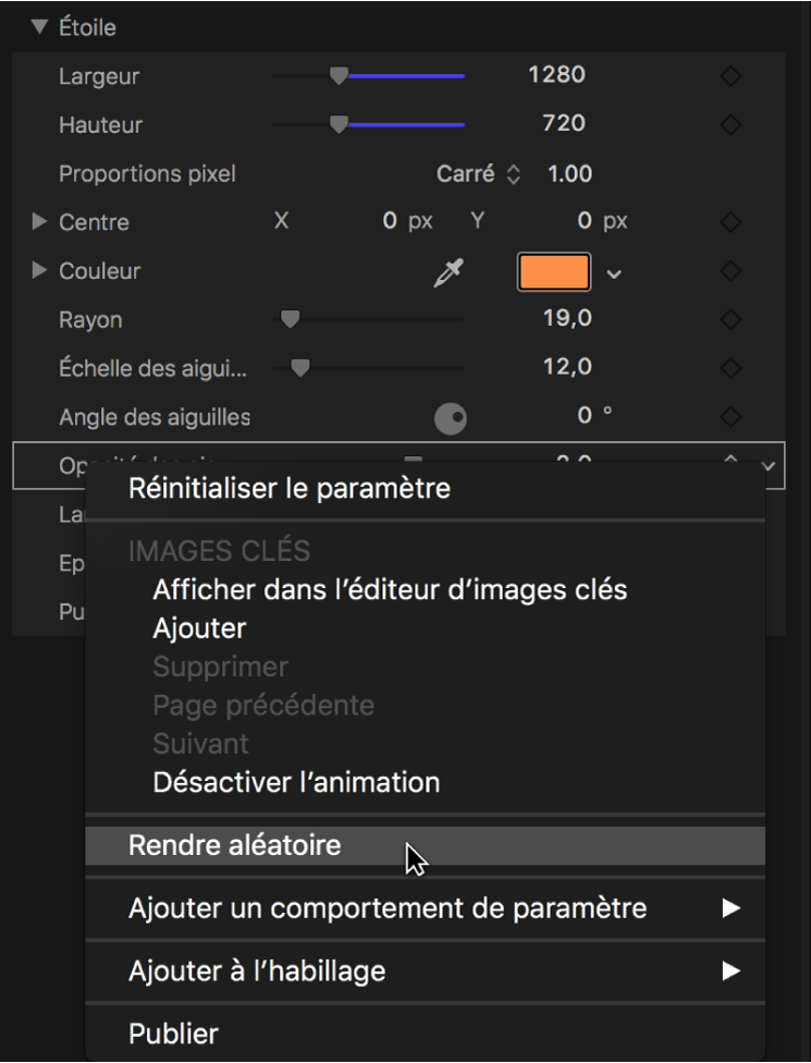 Sélection du paramètre Rendre aléatoire dans le menu Animation