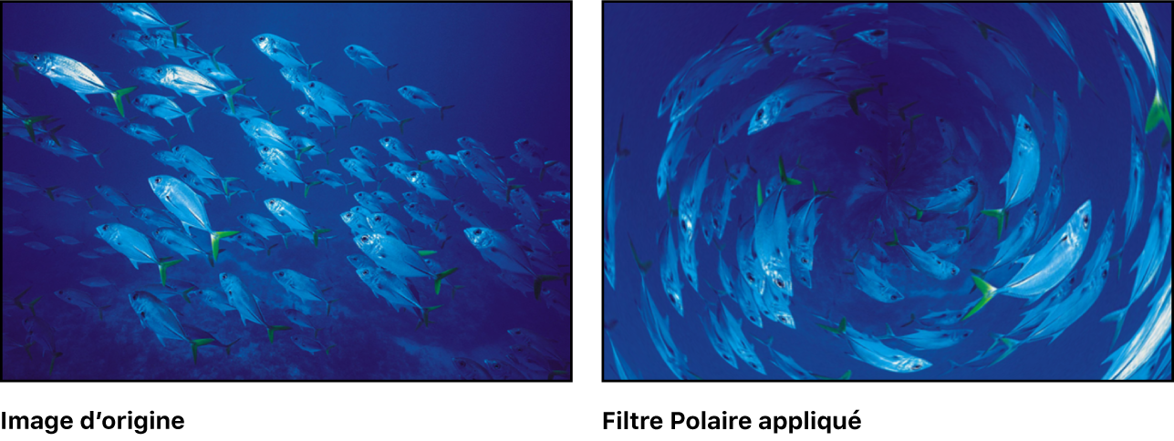 Canevas affichant l’effet du filtre Polaire