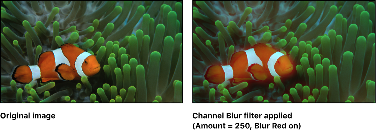 Motionの ブラー チャンネル フィルタ Apple サポート 日本