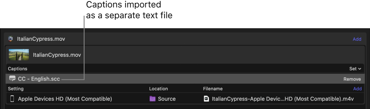 Área de lote con un archivo de subtítulos añadido como archivo de texto independiente