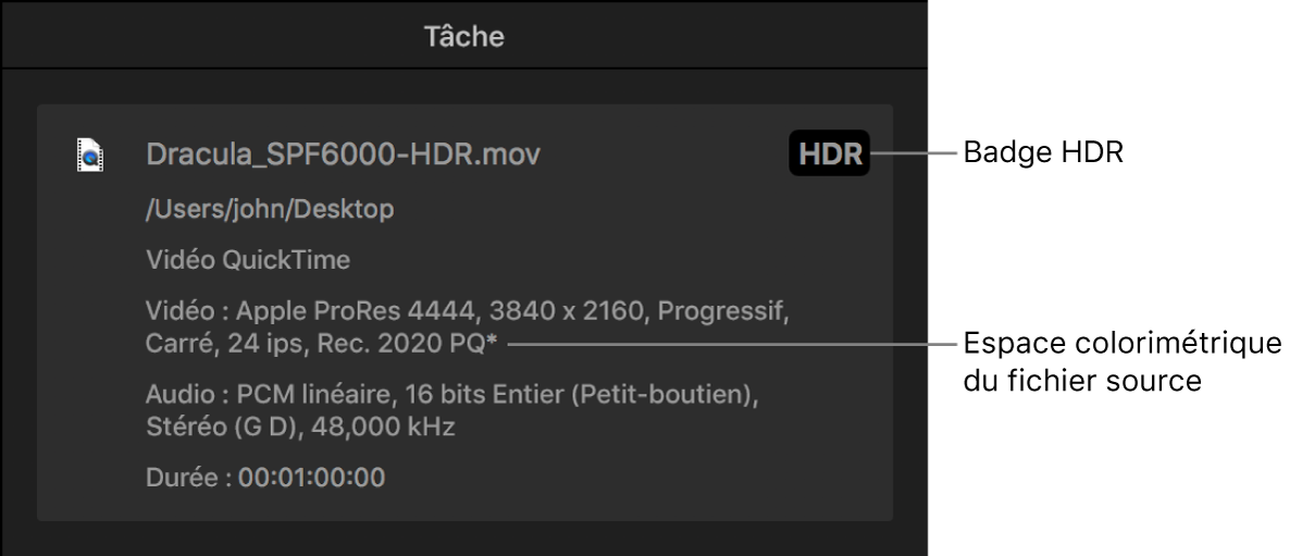 Inspecteur de tâche affichant une pastille HDR et l’espace colorimétrique du fichier vidéo source.