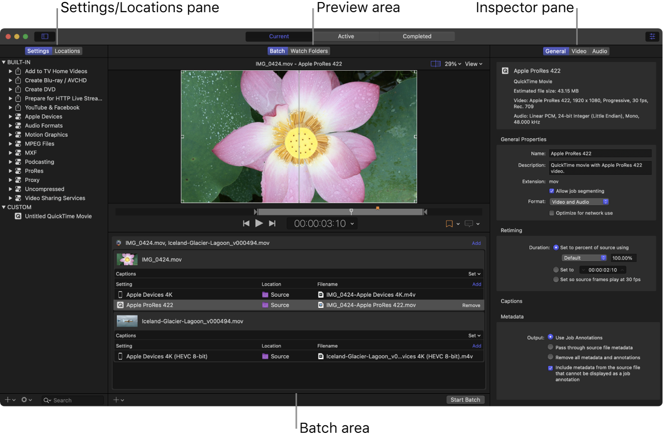 현재 보기가 표시된 Compressor 윈도우.