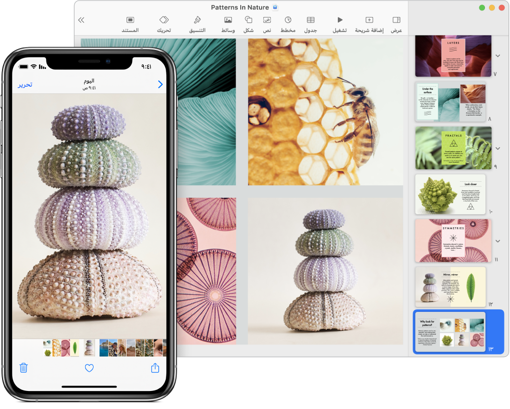 هاتف iPhone يعرض صورة، وبجواره كمبيوتر Mac يعرض الصورة بعد لصقها في عرض Keynote تقديمي.