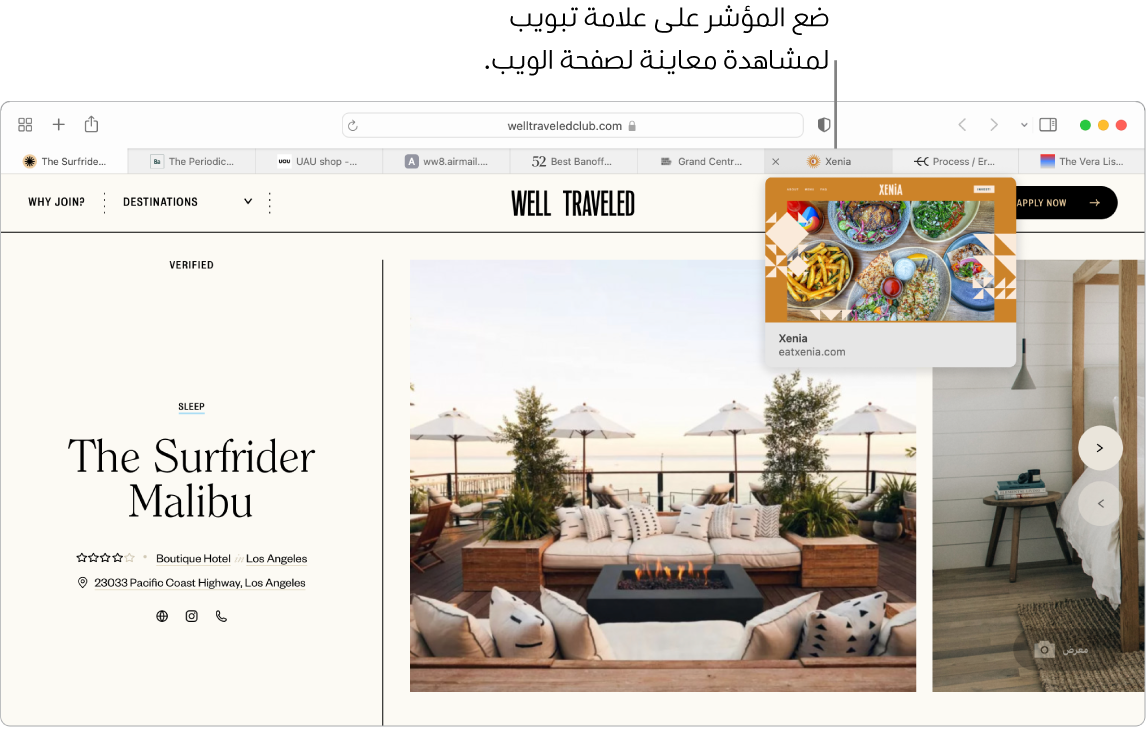 نافذة Safari تظهر بها صفحة ويب نشطة بعنوان "Well Traveled"، بالإضافة إلى ٩ علامات تبويب إضافية. تظهر معاينة لعلامة التبويب "Grand Central Market" أسفل علامة التبويب المرتبطة.