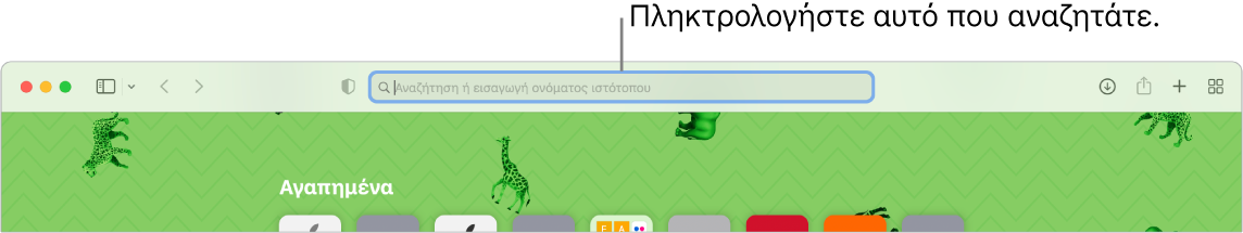Ένα περικομμένο παράθυρο του Safari με το πεδίο αναζήτησης στο πάνω μέρος του παραθύρου.