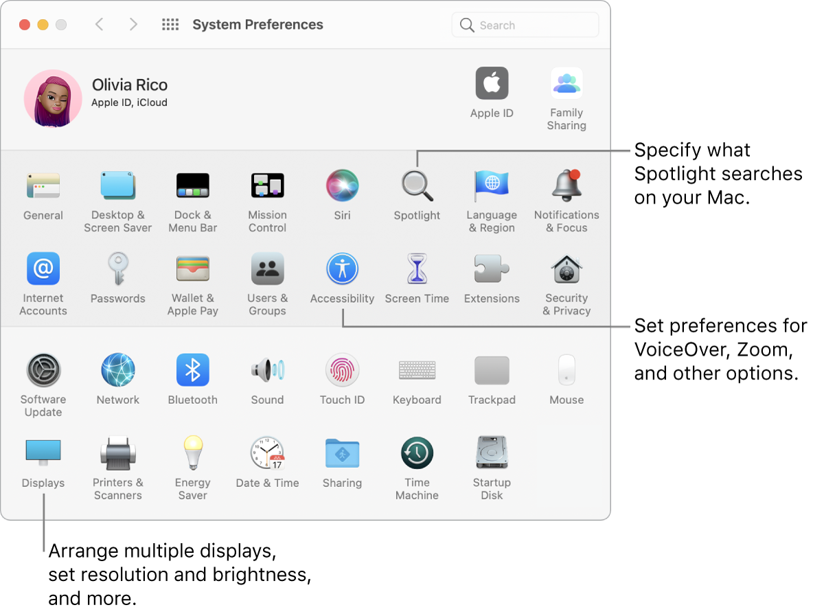 The system preferences window.