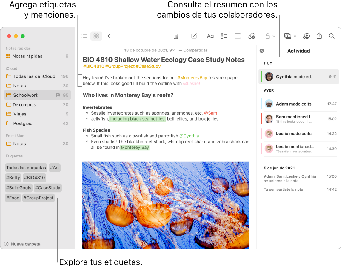 Una ventana de Notas en la visualización como galería mostrando etiquetas cerca del área inferior de la barra lateral. Cerca del área superior de la nota principal en el lado derecho hay etiquetas y una mención. En la parte derecha hay una lista de actividades que incluye un resumen de las ediciones.