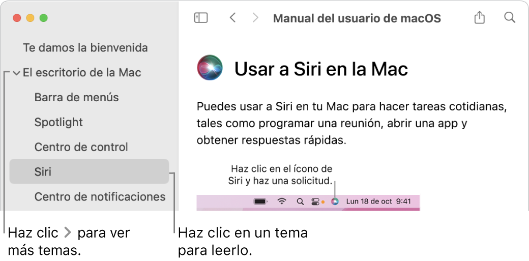 Visor de Ayuda mostrando cómo ver temas en la barra lateral y cómo mostrar el contenido de un tema.