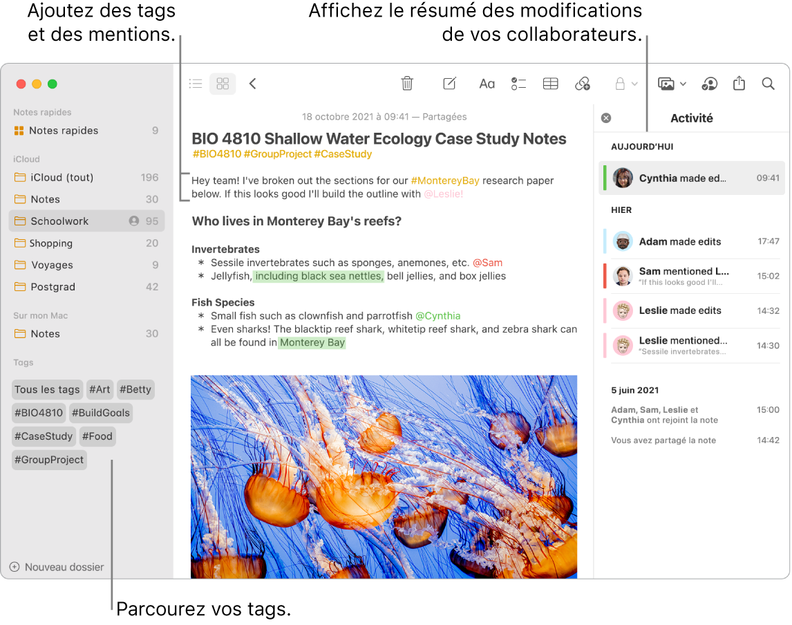 Une fenêtre Notes en présentation par galerie affichant des tags vers le bas de la barre latérale. Vers le haut de la note principale, sur la droite, se trouvent des tags et une mention. Une liste d’activité apparaît sur la droite, avec un résumé des mises à jour.