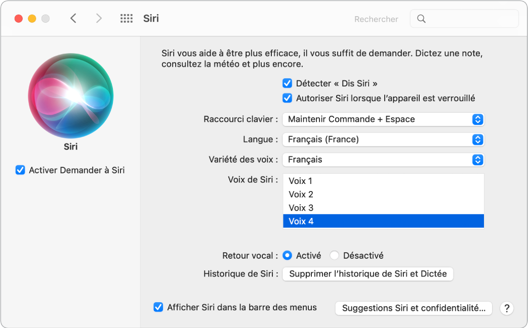 La fenêtre des préférences Siri, avec l’option Activer Demander à Siri sélectionnée à gauche et plusieurs options pour personnaliser Siri à droite, notamment Détecter « Dis Siri ».