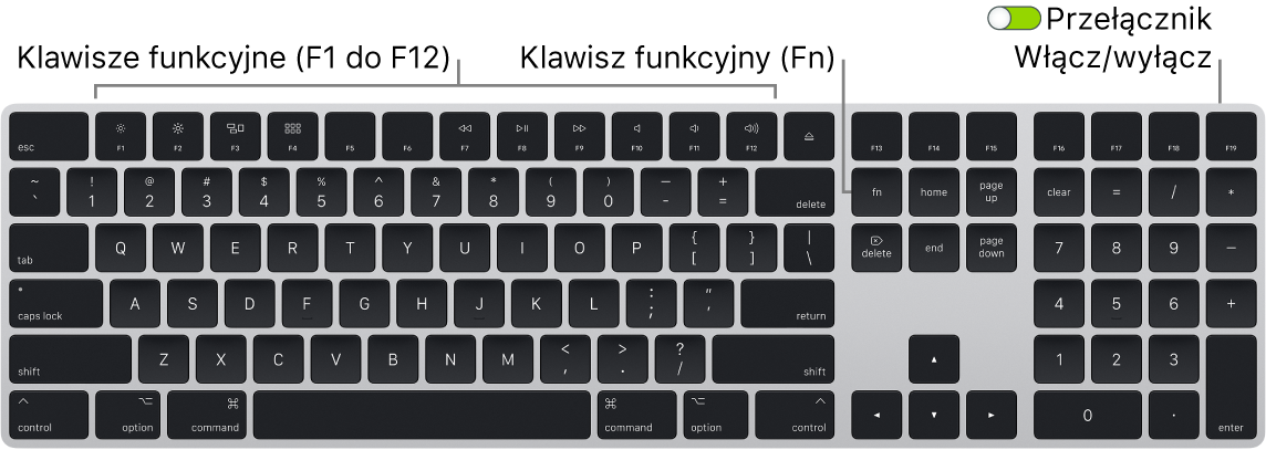 Klawiatura Magic Keyboard z klawiszem Function (Fn) w lewym dolnym rogu oraz przełącznikiem zasilania w prawym górnym rogu.