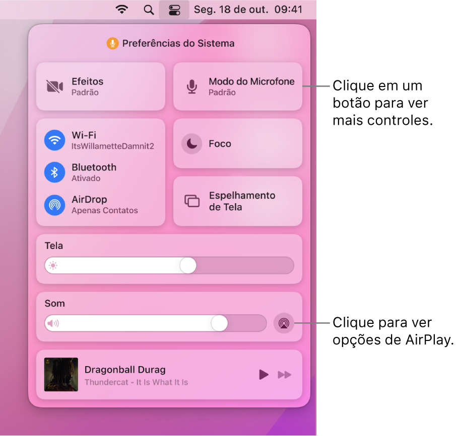 Visualização ampliada da Central de Controle no Mac.