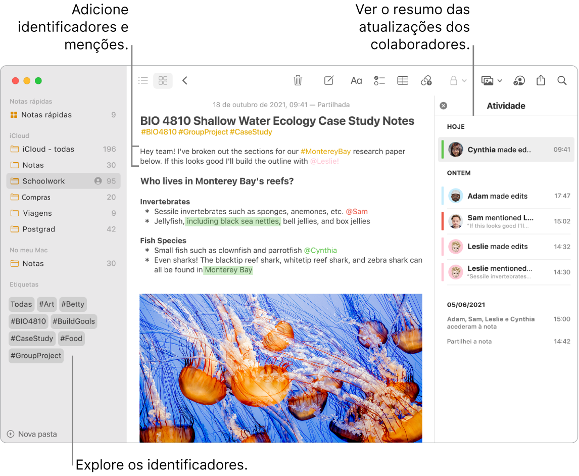 Uma janela da aplicação Notas na vista de galeria a mostrar etiquetas perto da parte inferior da barra lateral. Perto da parte superior da nota principal à direita estão as etiquetas e uma menção. À direita está uma lista de atividades, incluindo um resumo das atualizações.