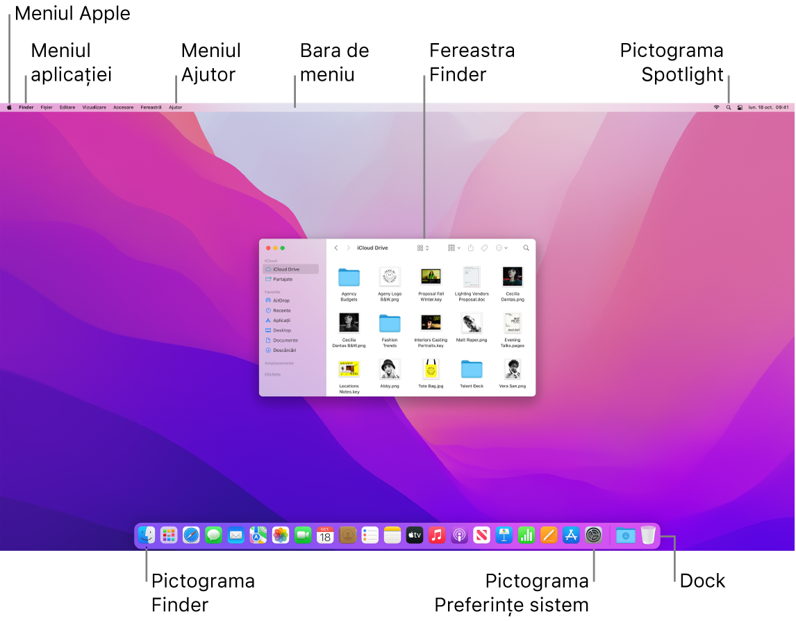 Un ecran Mac afișând meniul Apple, meniul Aplicații, meniul Ajutor, bara de meniu, o fereastră Finder, pictograma Spotlight, pictograma Finder, pictograma Preferințe sistem și Dock-ul.