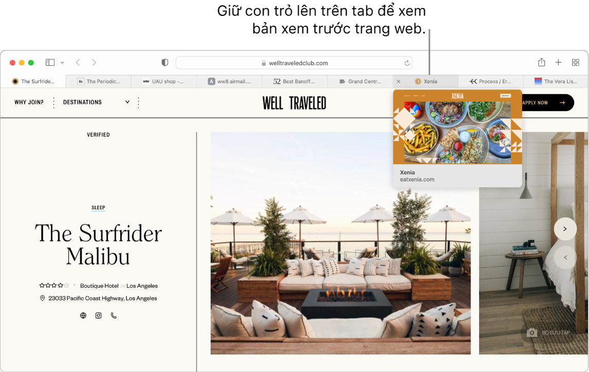 Cửa sổ Safari với trang web đang hoạt động có tên “Du lịch tuyệt vời”, cùng với 9 tab bổ sung. Bản xem trước của tab “Chợ lớn trung tâm” xuất hiện bên dưới tab.