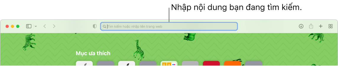Cửa sổ Safari bị cắt xén với trường tìm kiếm ở đầu cửa sổ.