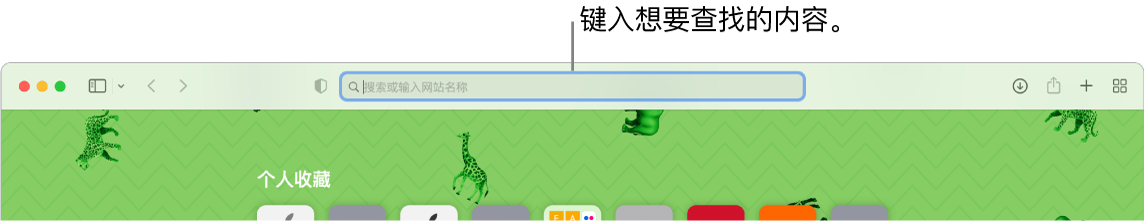 裁剪后的 Safari 浏览器窗口，窗口顶部是搜索栏。