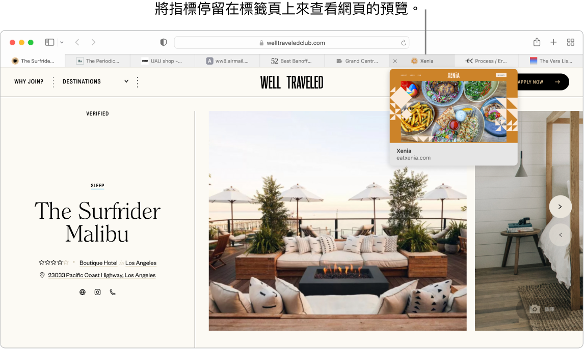 Safari 視窗顯示名稱為「Well Traveled」的現用網頁以及其他 9 個標籤頁。「Grand Central Market」標籤頁的預覽在其標籤頁下方顯示。