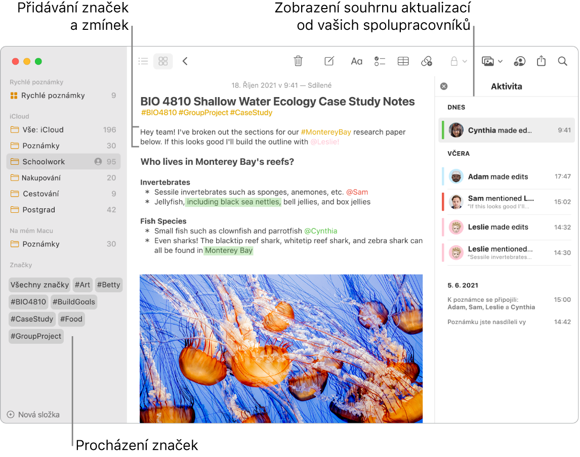 Okno aplikace Poznámky v zobrazení galerie se značkami v dolní části bočního panelu. Poblíž horního okraje hlavní poznámky jsou na pravé straně vidět značky a zmínka. Vpravo se nachází seznam aktivit se souhrnem aktualizací.