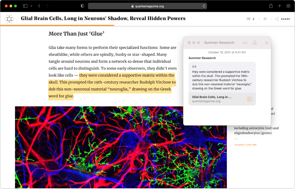 A Safari window with highlighted text in a magazine article and a Quick Note called “Summer Research” that includes the text and a link to the article.