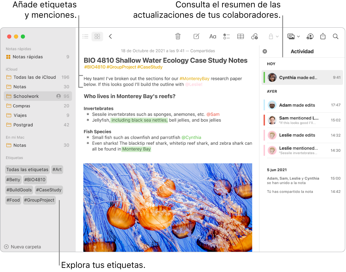 Una ventana de Notas en la vista como galería con etiquetas cerca de la parte inferior de la barra lateral. En la nota principal de la derecha, cerca de la parte superior, hay etiquetas y una mención. A la derecha hay una lista de actividades que incluye un resumen de las actualizaciones.