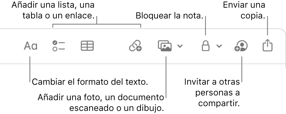 La barra de herramientas de Notas con las herramientas de formato de texto, lista de comprobación, tabla, enlace, fotos/contenido multimedia y enviar una copia.