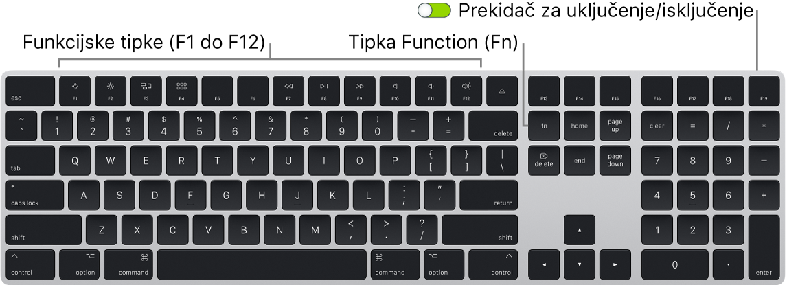 Tipkovnica Magic Keyboard prikazuje tipku Funkcija (Fn) u donjem lijevom kutu i prekidač za uključenje/isključenje na gornjem desnom kutu tipkovnice.