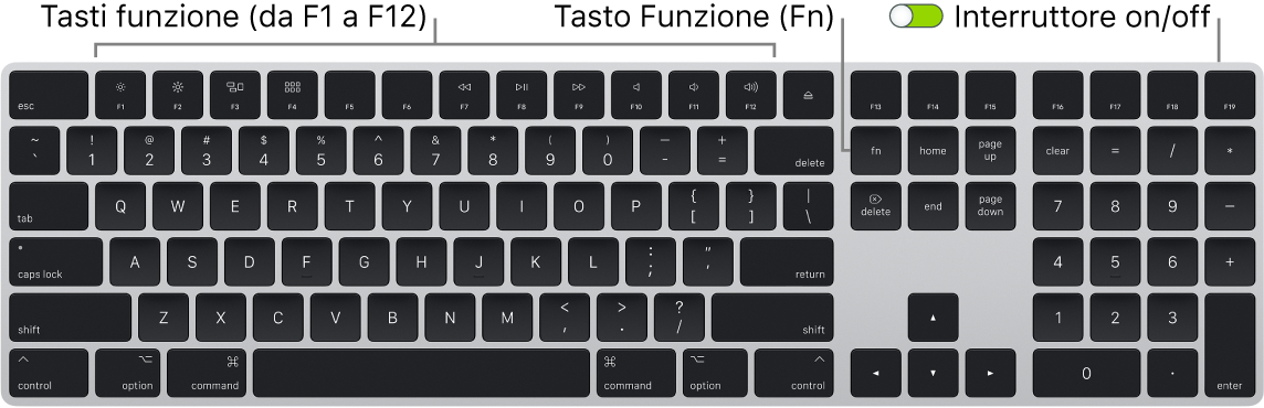 Magic Keyboard con il tasto Funzione (Fn) nell'angolo inferiore sinistro e l'interruttore di alimentazione nell'angolo superiore destro della tastiera.