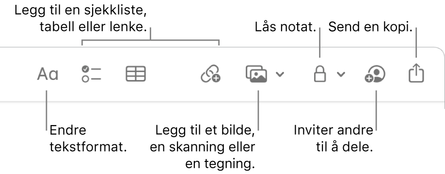 Notater-verktøylinjen som viser verktøyene for tekstformat, sjekkliste, tabell, lenke, bilder/medier, lås, deling og send en kopi.