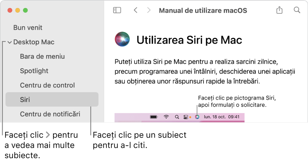 Vizualizator Ajutor afișând modul de vizualizare a subiectelor prezentate în bara laterală și modul de afișare a conținutului unui subiect.