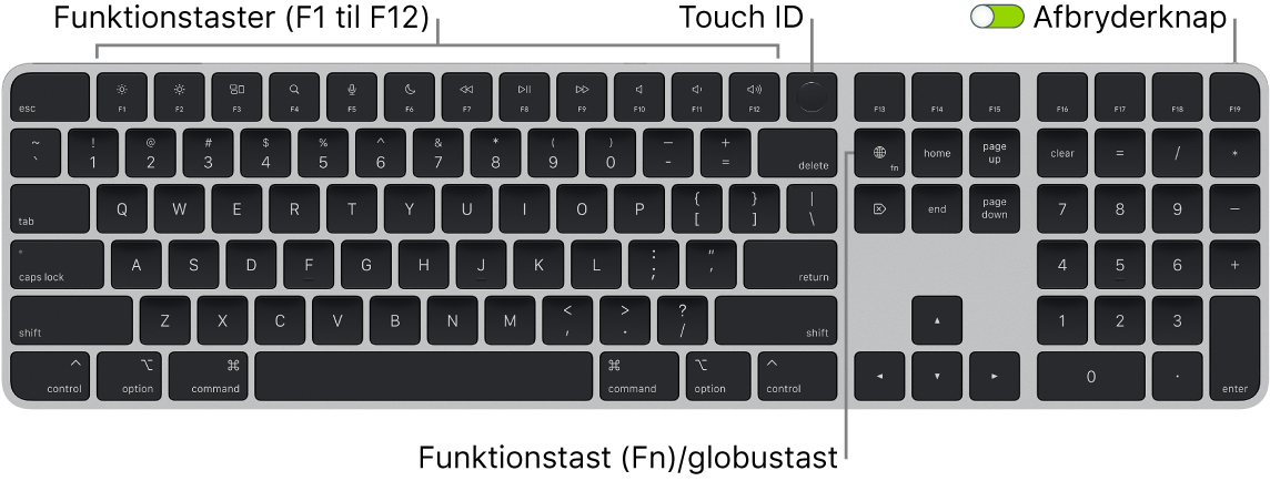 Magic Keyboard med Touch ID og numerisk blok, som viser rækken med funktionstaster og Touch ID øverst samt Funktionstasten (Fn)/globustasten til højre for slettetasten.