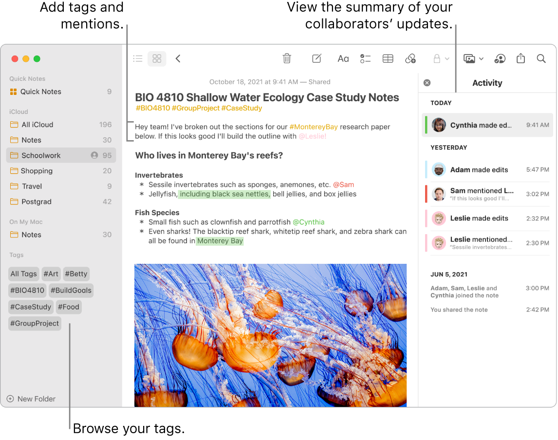 A Notes window in Gallery view showing tags near the bottom of the sidebar. Near the top of the main note on the right are tags and a mention. On the right is an activity list, including a summary of the updates.