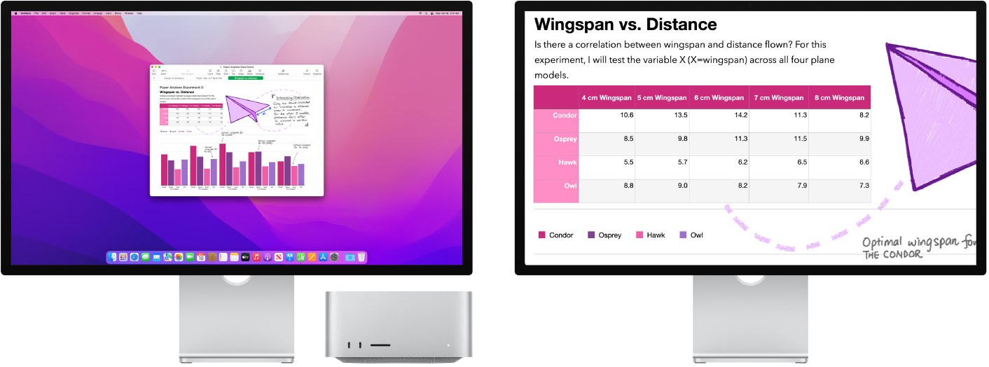 Zoom Display is active on the secondary display, while the screen size stays fixed on the left display.