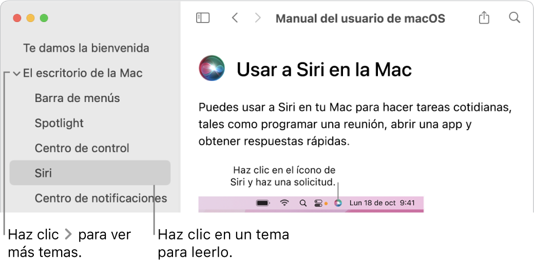 Visor de Ayuda mostrando cómo ver temas en la barra lateral y cómo mostrar el contenido de un tema.