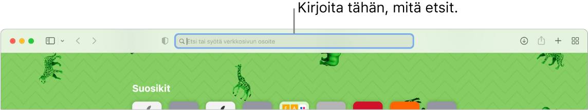 Rajattu Safari-ikkuna, jonka yläreunassa on hakukenttä.